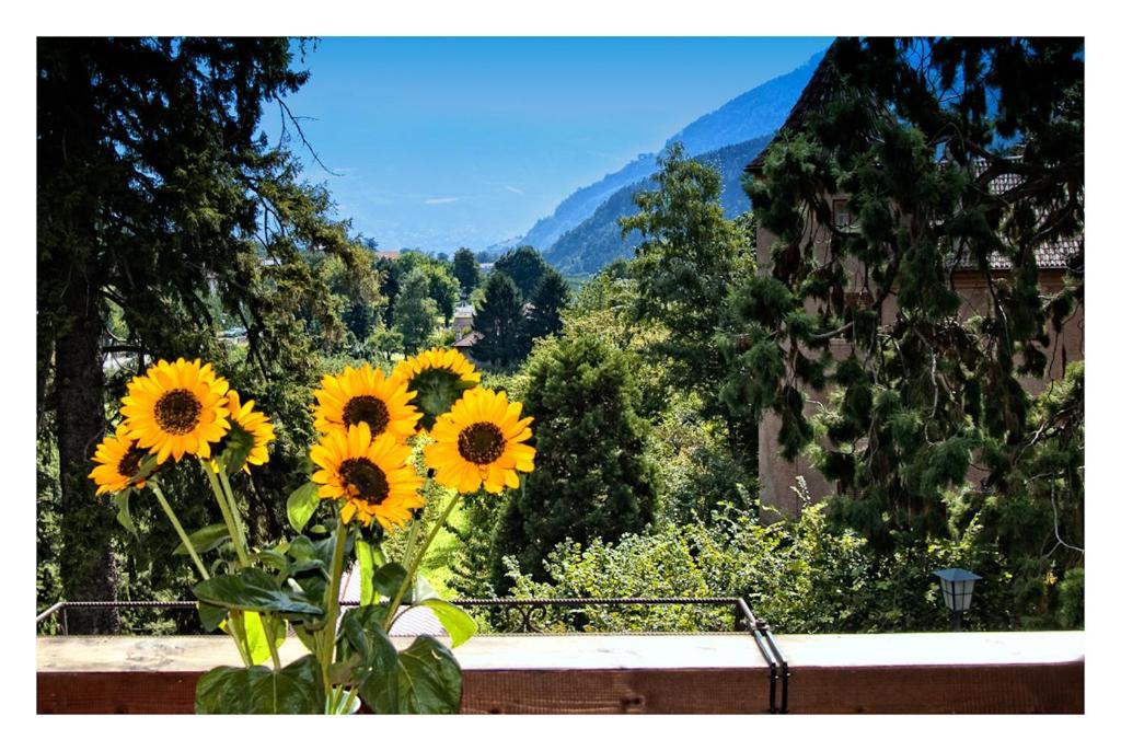 Apparthotel Taufenbrunn Parcines Exterior foto